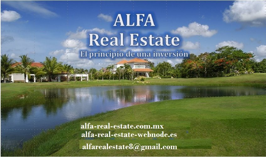 ALFA REAL ESTATE